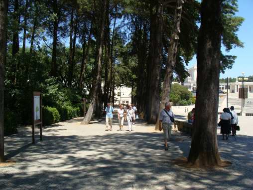 Img web0448acocete08.jpg
